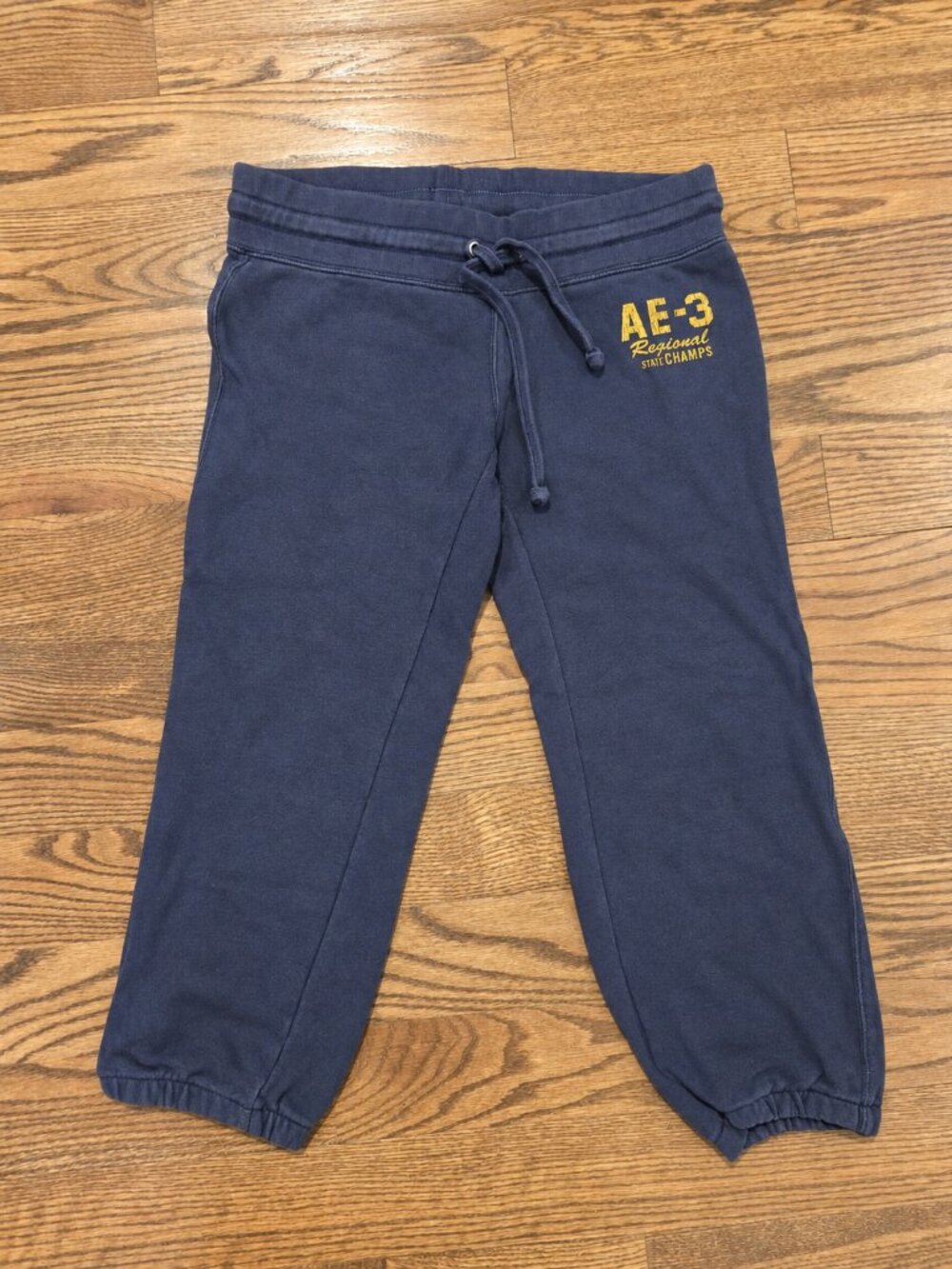 Vintage Y2K American Eagle Cropped Sweatpants Womens S Varsity Preppy Athletic
